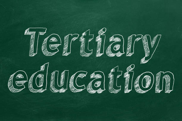 Hand drawing "Tertiary education" on green chalkboard